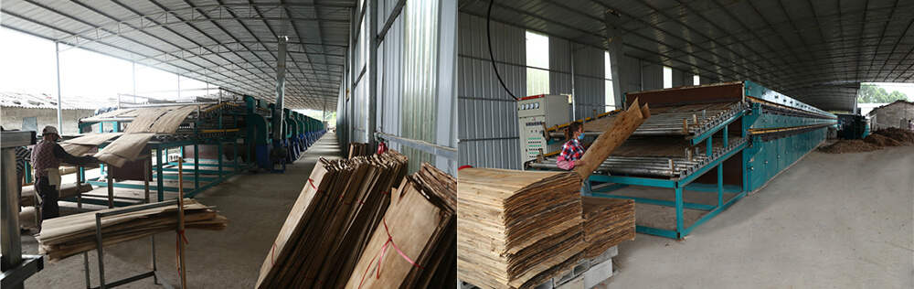 木皮秋葵视频污在线观看