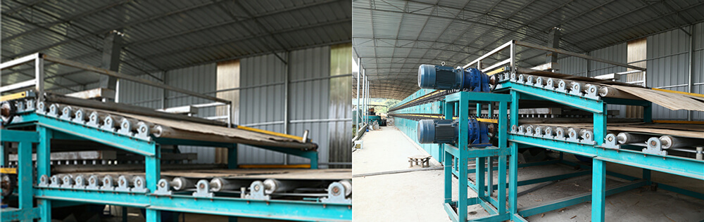 木皮秋葵视频污在线观看