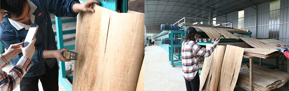 單板秋葵视频污在线观看