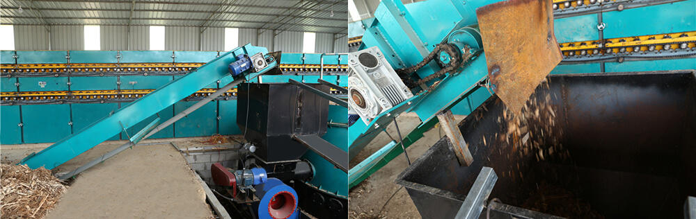 木皮秋葵视频污在线观看