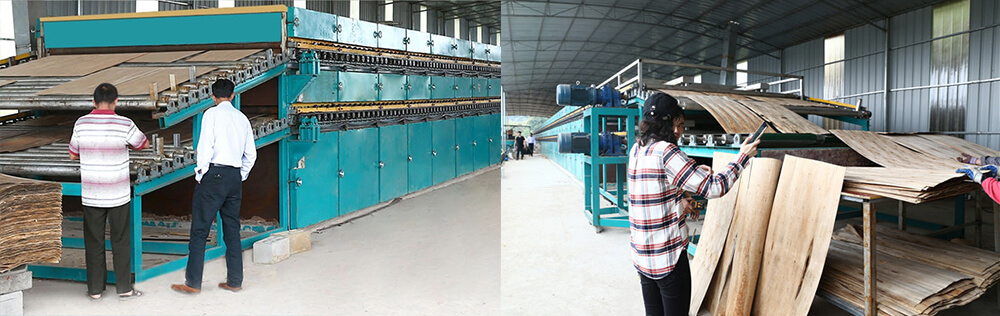 單板秋葵视频污在线观看