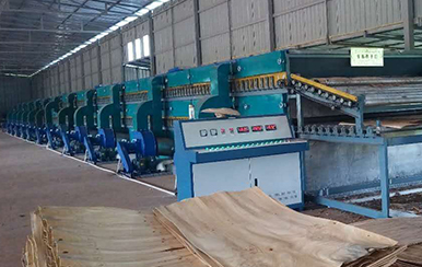 木皮秋葵视频污在线观看