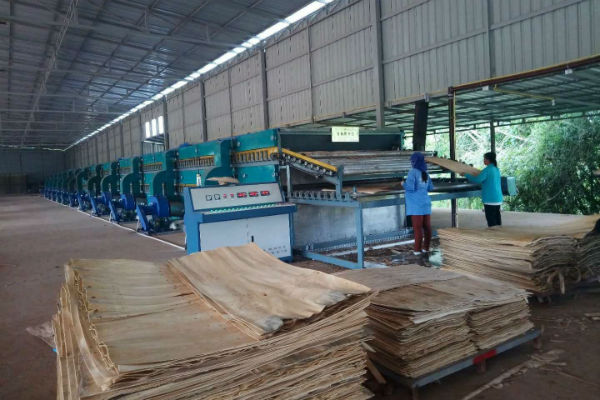 雙層單板秋葵视频污在线观看