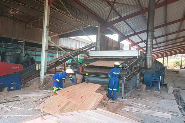 廣西楊木單板秋葵成人APP下载