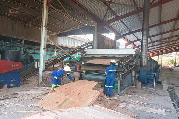 楊木單板秋葵成人APP下载