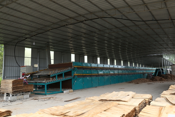 浙江自動進板秋葵视频污在线观看