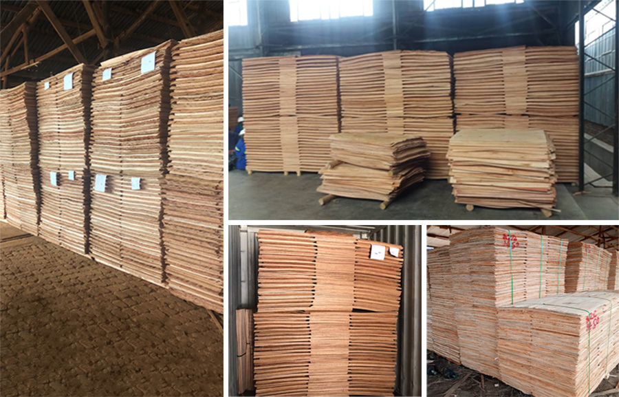 木皮秋葵视频污在线观看